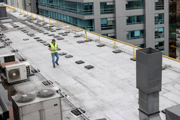 Best Roof Leak Repair  in Nicholson, MS