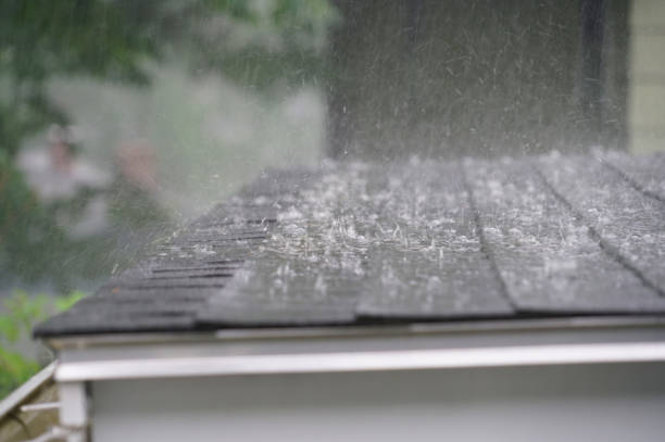 Best Chimney Flashing Repair  in Nicholson, MS